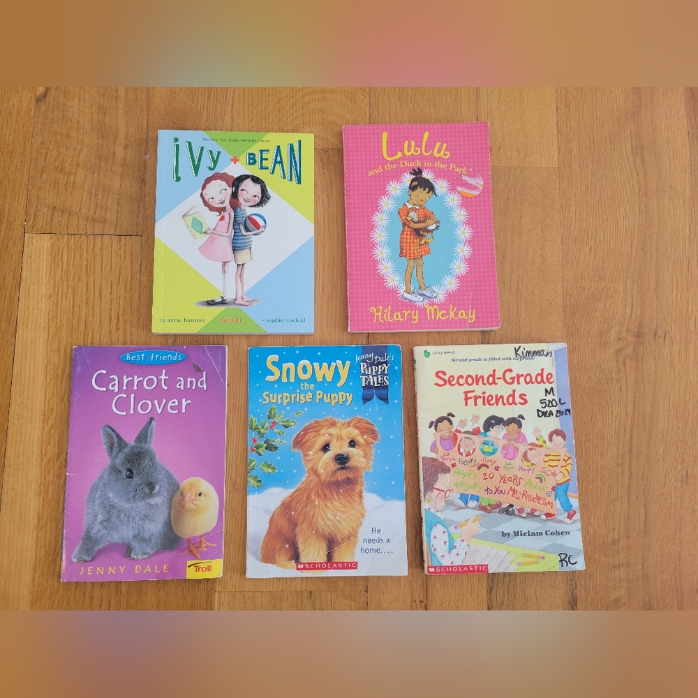 Children's chapter book bundle